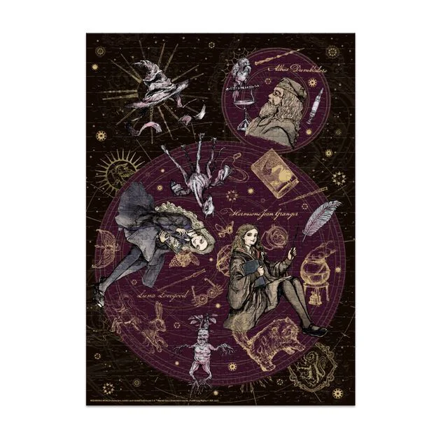Puzzle Dodo Harry Potter "Lider. Perfectionist extraordinar", 500 el. foto