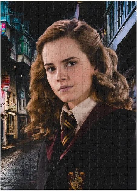 Puzzle Dodo Harry Potter "Portretul Hermionei", 450 el. foto