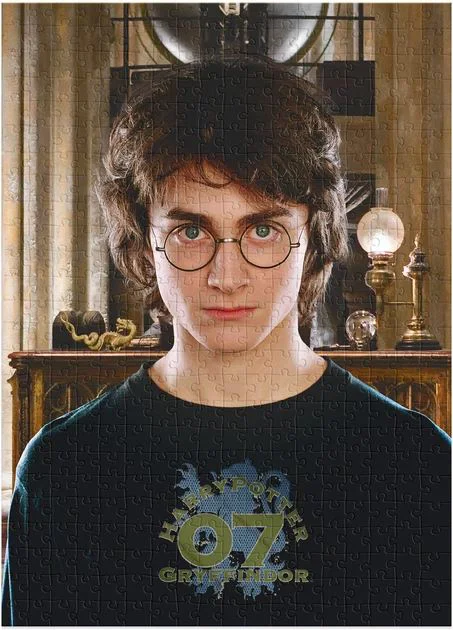 Puzzle Dodo Harry Potter "Portretul lui Harry", 450 el. foto