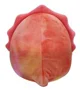 Jucarie de plus Squishmallows Triceratops Trinity, 19 cm foto