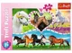 Puzzle Trefl Beautiful horses, 200 el. foto