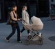 Carucior 2 in 1 Anex Eli Gato foto