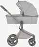 Carucior 2 in 1 Anex Flo Frossy foto