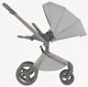 Carucior 2 in 1 Anex Flo Frossy foto