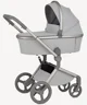 Carucior 2 in 1 Anex Flo Frossy foto