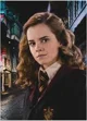 Puzzle Dodo Harry Potter "Portretul Hermionei", 450 el. foto
