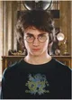 Puzzle Dodo Harry Potter "Portretul lui Harry", 450 el. foto