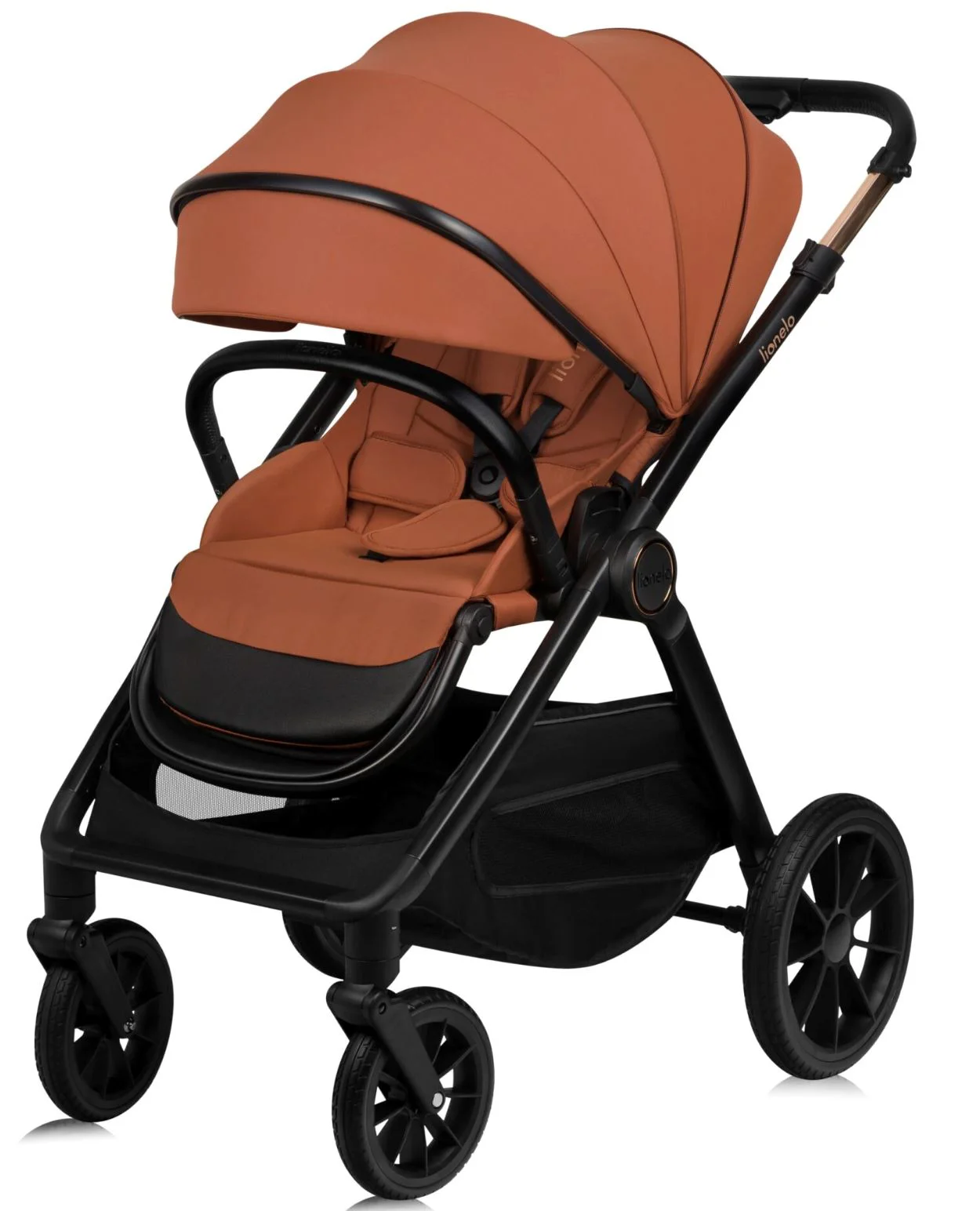 Carucior 2 in 1 Lionelo Layla Maro foto