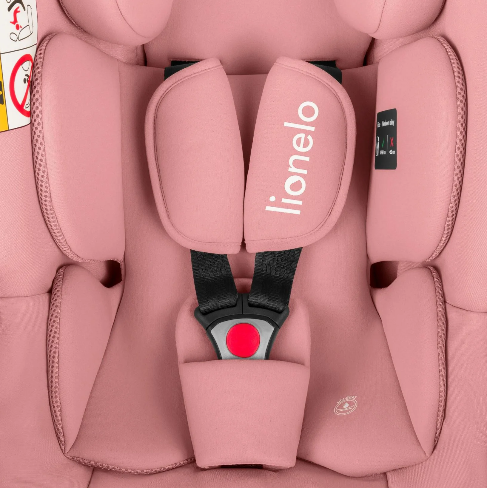 Автокресло Lionelo Astrid I‑Size, 0‑13 кг Розовое foto