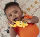 Zornaitoare Fisher-Price Animalute foto