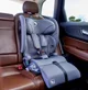 Автокресло Lionelo Isofix Nelly, 9-36 кг, Серый foto
