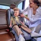Автокресло Lionelo Isofix Nelly, 9-36 кг, Серый foto