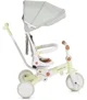 Tricicleta 3 in 1 pentru copii Moni Compacto Verde foto