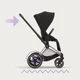 Cadru pentru carucior Cybex e-Priam RBA Rosegold foto