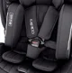 Scaun auto rotativ Coletto Ivo, 0-36 kg, Negru foto