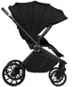 Carucior reversibil Lionelo Mika Plus Negru foto