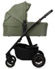 Carucior 2 in 1 Lionelo Amber Plus Green Forest foto