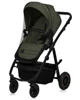 Carucior 2 in 1 Lionelo Amber Plus Green Forest foto