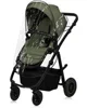 Carucior 2 in 1 Lionelo Amber Plus Green Forest foto