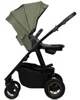 Carucior 2 in 1 Lionelo Amber Plus Green Forest foto