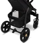 Carucior Lionelo Annet Plus Golden Moments foto