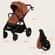 Carucior 2 in 1 Lionelo Layla Maro foto