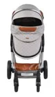 Carucior 2 in 1 Moni Alma Gri foto