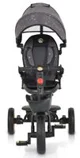Tricicleta Moni Orion Gri foto