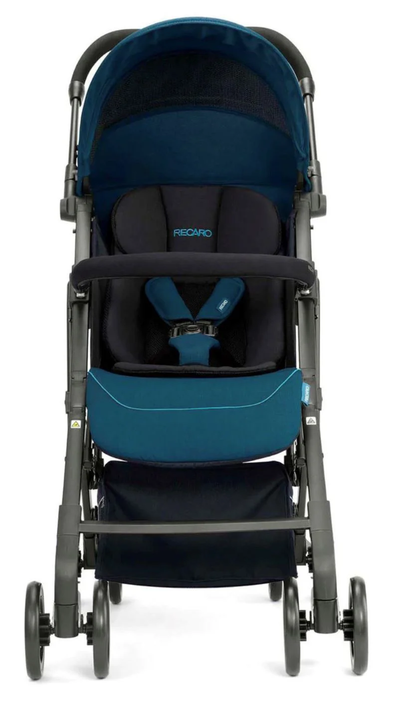 Сarucior pentru copii Recaro Easylife Elite 2 Prime Mat Negru foto