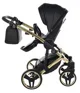 Carucior 2 in 1 Junama Fluo Line v3 Negru foto