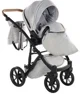 Carucior 2 in 1 Junama Space Gri foto