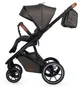 Carucior 2 in 1 Coccolle Nessia Anthracite foto
