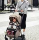 Carucior Britax Romer Rio Soft Taupe foto