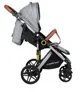 Прогулочная коляска Summer Baby Sempre Серый foto