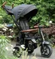Детский трехколесный велосипед Qplay Rito Deluxe Черный foto