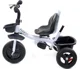 Tricicleta pentru copii FunFit Twist Albastru foto