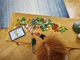 Конструктор Lego Duplo Мастерская творчества, 588 эл. foto