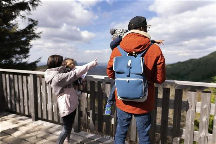 Geanta de tip ghiozdan Babymoov Sancy Blue foto