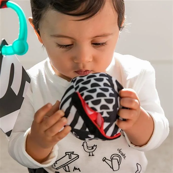 Развивающий коврик Baby Einstein Bold New World
