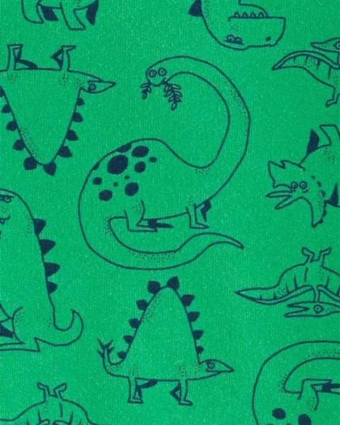 Carter's Set 2 piese Dinozaur - pantaloni si bluza foto
