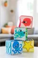 Мягкие кубики Baby Einstein Explore & Discover™
