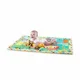 Развивающий коврик Bright Starts Room For Fun™
