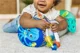 Perna multifunctionala Baby Einstein Rythm of the Reef™