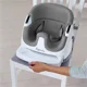 Стульчик для кормления 2 в 1 Bright Starts Ingenuity Slate