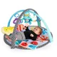 Salteluta de activitati Baby Einstein Sea Friends