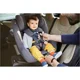 Автокресло с системой Isofix Nuna REBL PLUS 360 i-Size Aspen, от рождения до 105 см foto