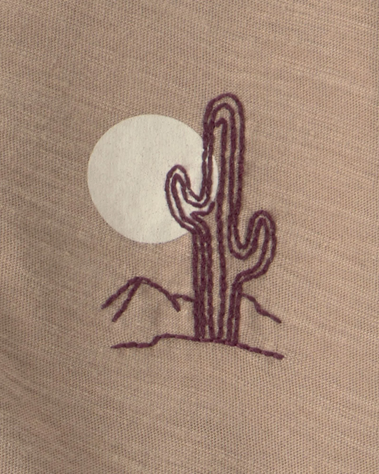 Carter's Комплект 2 в 1 Brown Desert - футболка и шорты foto