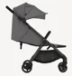Carucior All in One Anex IQ Lune foto