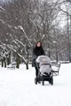 Зимний чехол для коляски Caretero Orso Серый foto