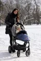 Зимний чехол для коляски Caretero Aspen Чёрный foto